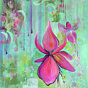 Fuchsias In Rain Art Print