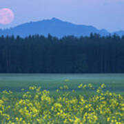 Full Moon Setting Over Mountains And Rapeseed Art Print