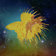 Galaxy Crowntail Betta Fish Art Print