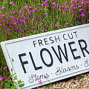 Garden Flowers With Fresh Cut Flower Sign 0737 Art Print