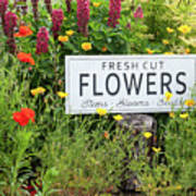 Garden Flowers With Fresh Cut Flower Sign 0771 Art Print