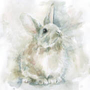 Garden Friends Rabbit Art Print