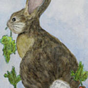 Garden Rabbit Art Print