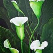 Giant Calla Lily Art Print