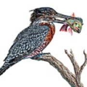 Giant Kingfisher Art Print