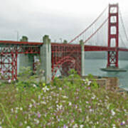 Golden Gate Bridge And Summer Flowers Art Print