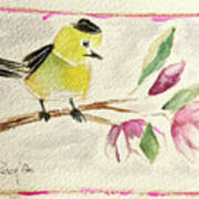 Goldfinch On A Magnolia Branch Art Print