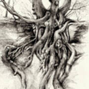 Graceful Tree That Grows On The Sandstone Ii Art Print