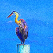 Great Blue Heron On Pier Left Art Print