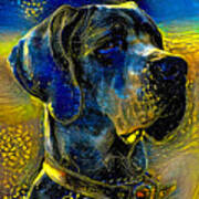 Great Dane Portrait - Starry Blue With Yellow Colorful Painting Art Print