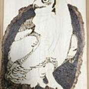 Pre-great Horned Owl Art Print