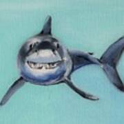 Great White Shark Underwater Painting Series Art Print