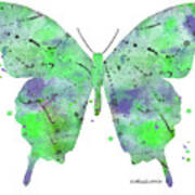 Green Abstract Butterfly Painting By Carole Martindale