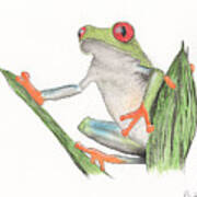 Red Eyed Tree Frog #2 Art Print