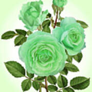 Green Roses Art Print