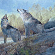 Grey Wolves Howling Art Print