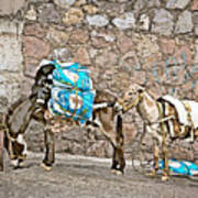 Guanajuato Donkeys - Ink Digital Paint Art Print