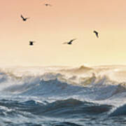 Gulls Flying Over Waves Gulf Islands National Seashore Florida Art Print
