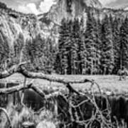 Half Dome - Yosemite Series #1 - Ca, Usa - 2013 4/10 Art Print