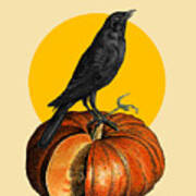 Halloween Crow On A Pumpkin Art Print