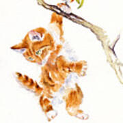Hanging Around - Naughty Kitten Art Print
