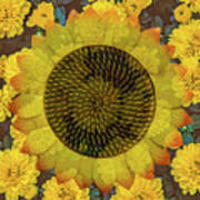 Happy Sunflower Art Print