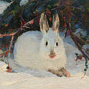 Hare In Winter Art Print