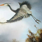 Heron In Flight Art Print