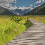 Hiking Path To The Michinmahuida Glacier Art Print