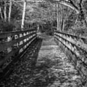 Historic Rail Trail Bridge Creeper Trail Damascus Virginia Black Art Print
