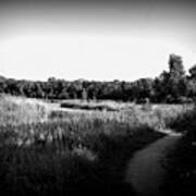 Homewood Izaak Walton Prairie Lake - Holga Effect Art Print