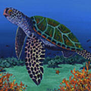 Honu And Coral Reef Art Print