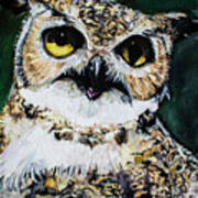 Hoodini The Owl Art Print