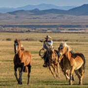 Horse Roundup Art Print