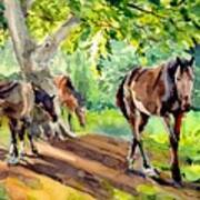 Horses At Grass Art Print