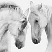 Horses Face To Face In Black And White Art Print