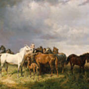 Horses In The Puszta Art Print
