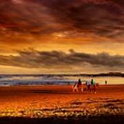 Horses On A Maine Beach Art Print