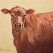 How Now Brown Cow Art Print