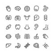 Human Anatomy Line Icons Editable Stroke Art Print
