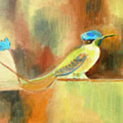 Hummingbird, Ecuador Art Print