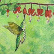 Hummingbird Hearts Art Print