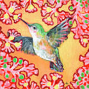 Hummingbird In Flight Art Print