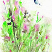 Hummingbird In The Red Salvia Art Print