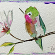 Hummingbird With Magnolia Blossom Art Print