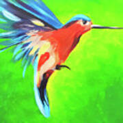 Hummingbird Xxiv Art Print
