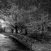 Ice Storm, Isham Park, 2020 Art Print