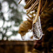 Icicle On Fir Wreath Art Print