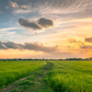 Idyllic View Of Rice Fields Against Sky During Sunset,thailand Art Print