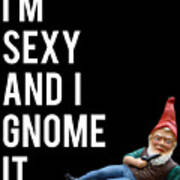 Im Sexy And I Gnome It Art Print